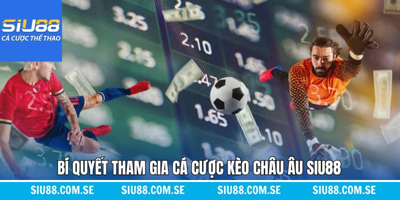 Top các chiến thuật cá cược kèo châu Âu thắng lớn 