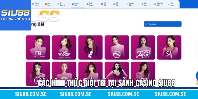 Điểm qua siêu phẩm casino không nên bỏ lỡ tại Siu88