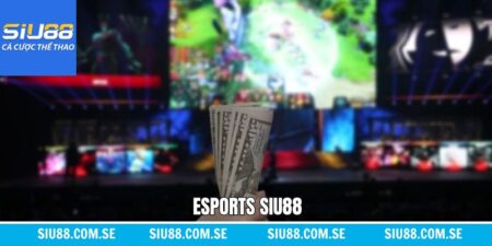 Cá Cược Esport Siu88 - Tham Gia Thể Thao Điện Tử Đỉnh Cao