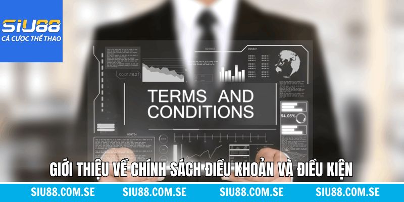 Điều khoản và điều kiện trong nhà cái Siu88