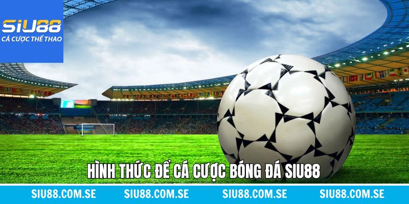 Tổng hợp những loại kèo cược bóng đá Siu88 phổ biến nhất