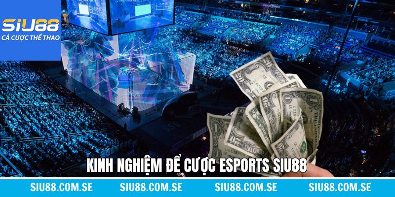 Chiến thuật tham gia dự đoán Esport Siu88 hiệu quả