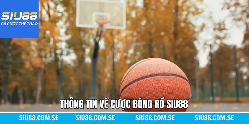 Khái quát về bộ môn cá cược bóng rổ Siu88