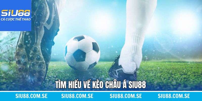 Tổng quan sơ lược về cược châu Á kịch tính