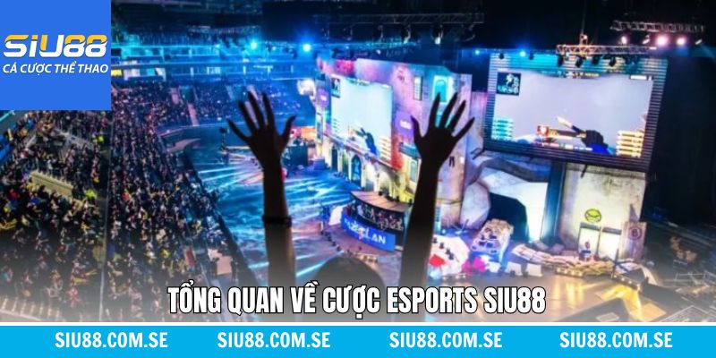 Tổng quan về sức hút của cá cược thể thao điện tử tại Siu88