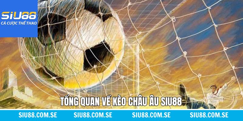 Đôi nét tìm hiểu chung về kèo châu Âu Siu88 