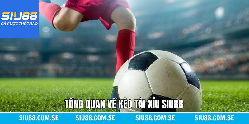 Giới thiệu thông tin tổng quan về khái niệm kèo tài xỉu tại Siu88