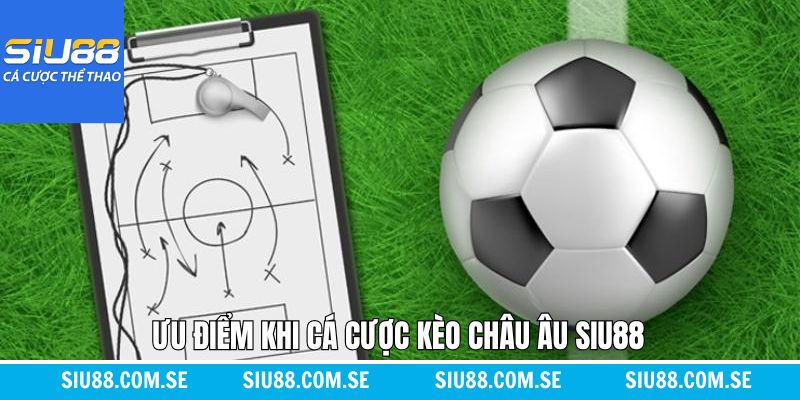 Lý do vì sao thành viên nên chọn kèo châu Âu Siu88 