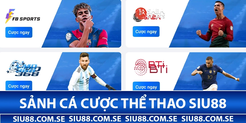 Sảnh cá cược thể thao Siu88